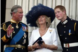 King Charles III was reportedly enraged by Prince Harry's criticisms of Queen Consort Camilla in his memoir "Spare," with one especially damaging nickname standing out!Read the comments!